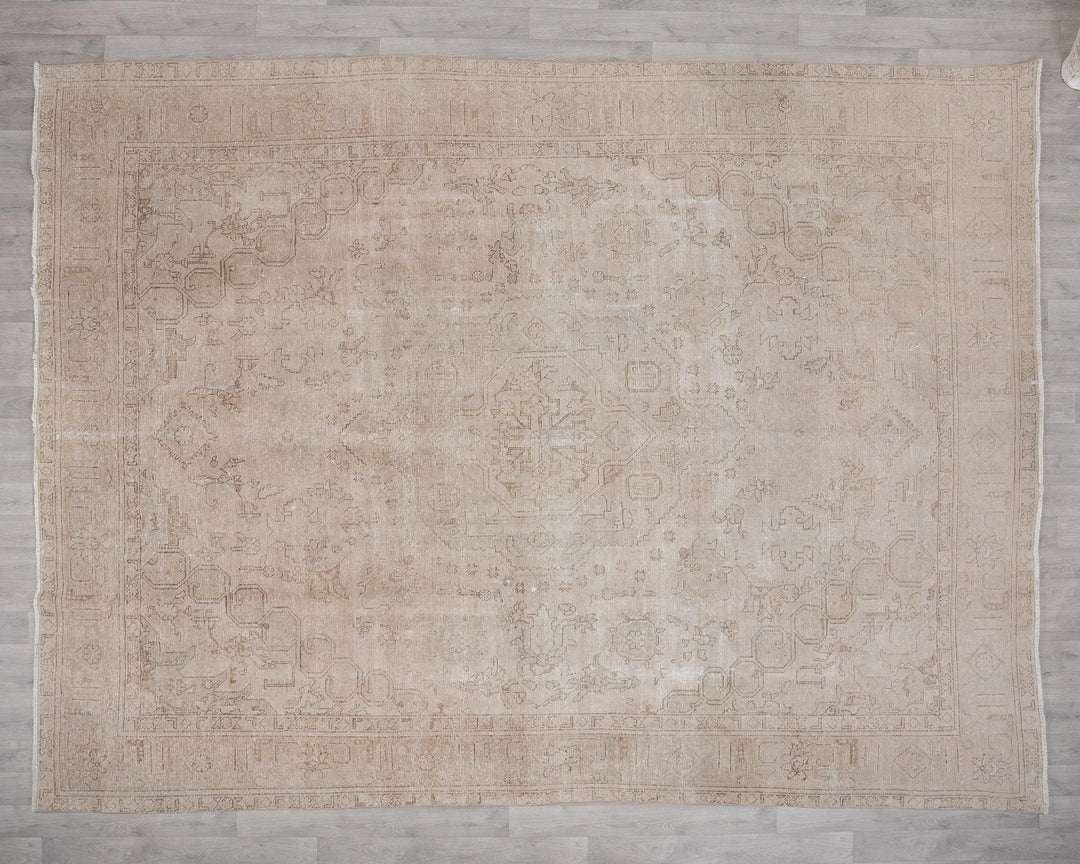 Beige Turkish Oushak Rug 9'6" x 12' Hand-Knotted | No. VR78449