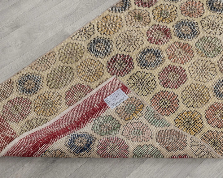 Beige Runner Rug 2' 6" x 10' 10" | No. VR79821