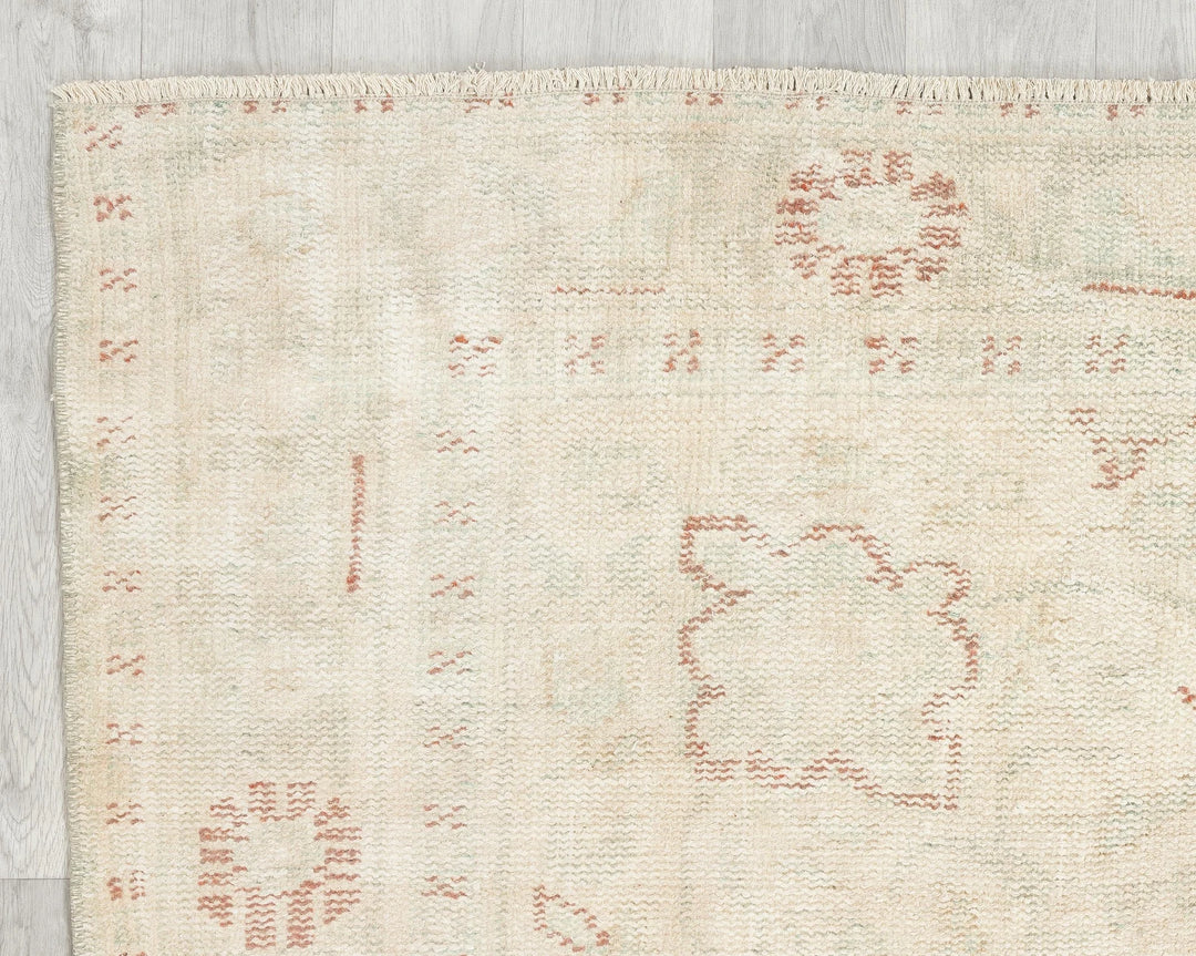 Beige Turkish Oushak Rug 5'10" x 10'2" Hand-Knotted border