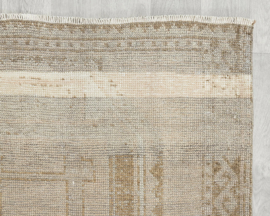 Beige Runner Rug 3' 11" x 10' 10" | No. VR85029