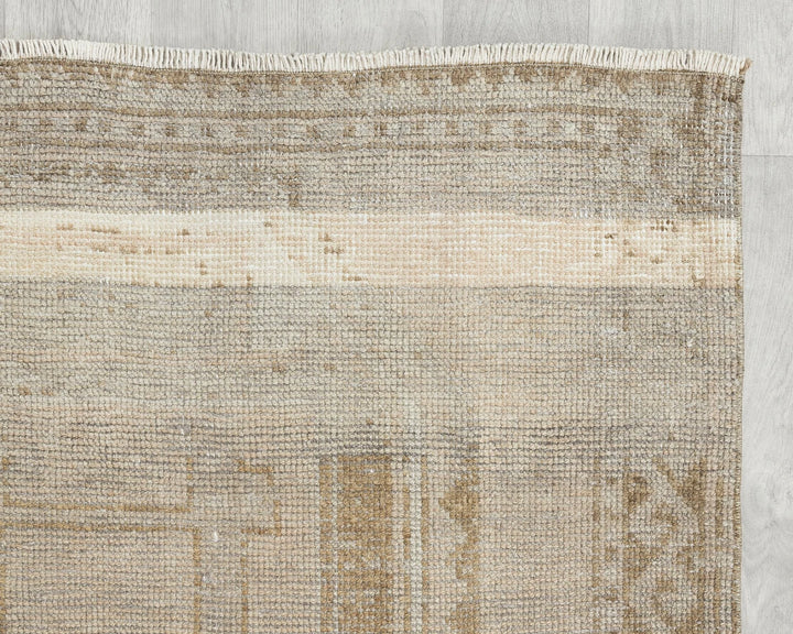Beige Runner Rug 3' 11" x 10' 10" | No. VR85029