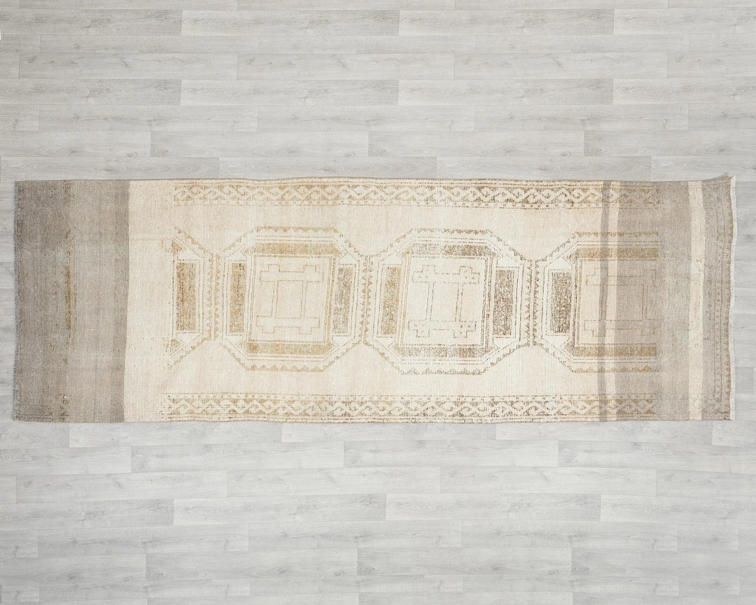 Beige Runner Rug 3' 11" x 10' 10" | No. VR85029