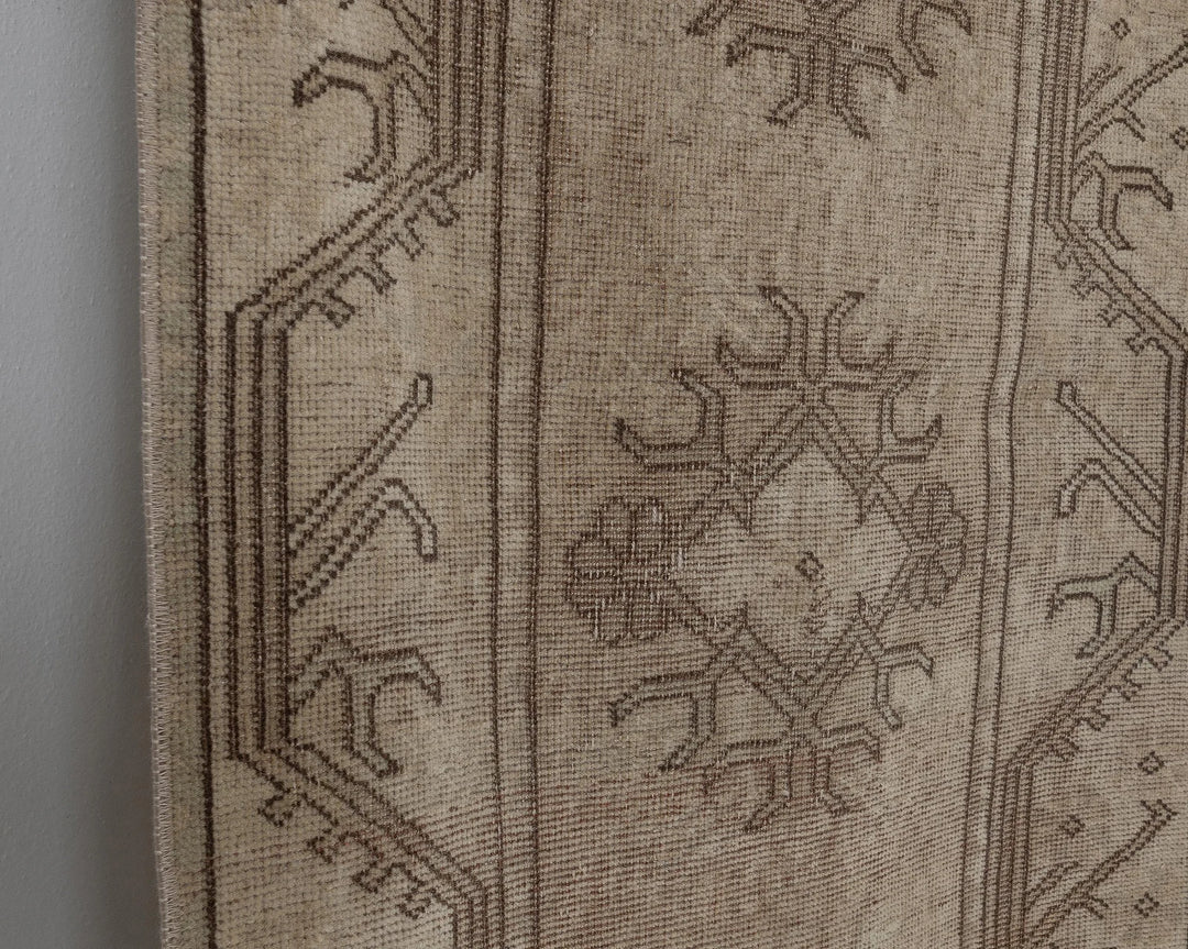Brown Runner Rug 2' x 9' | No. VR85117