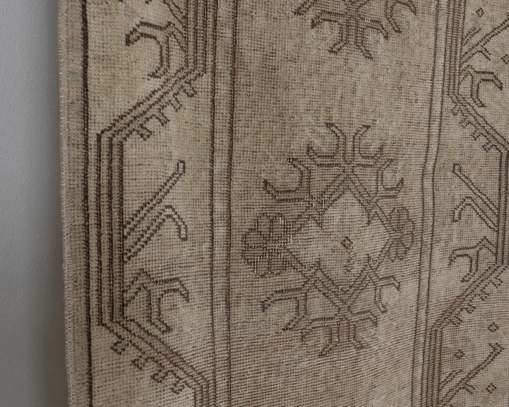Brown Runner Rug 2' x 9' | No. VR85117