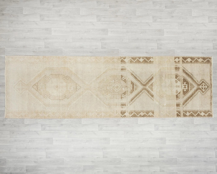 Runner Rug 3' 10" x 11' 10" | No. VR93008