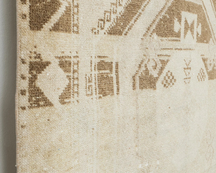 Runner Rug 3' 10" x 11' 10" | No. VR93008