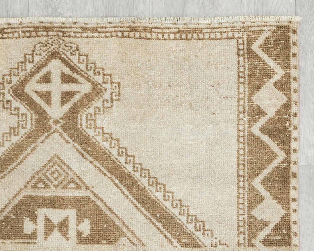 Runner Rug 3' 10" x 11' 10" | No. VR93008