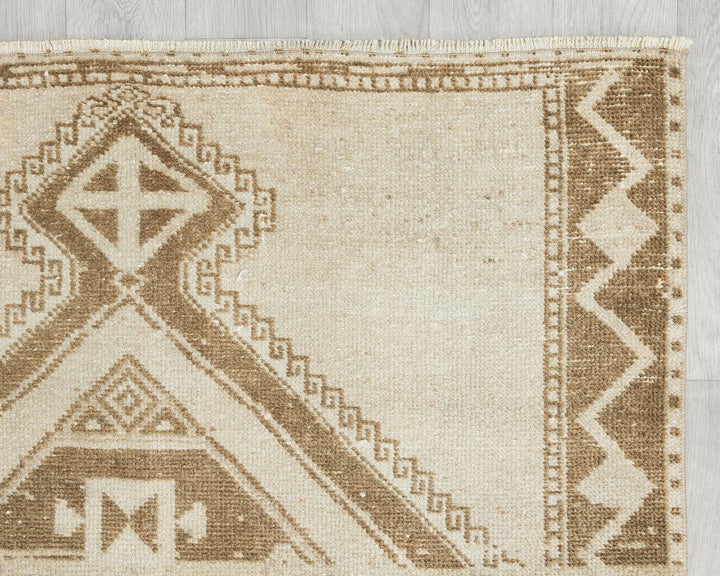 Runner Rug 3' 10" x 11' 10" | No. VR93008