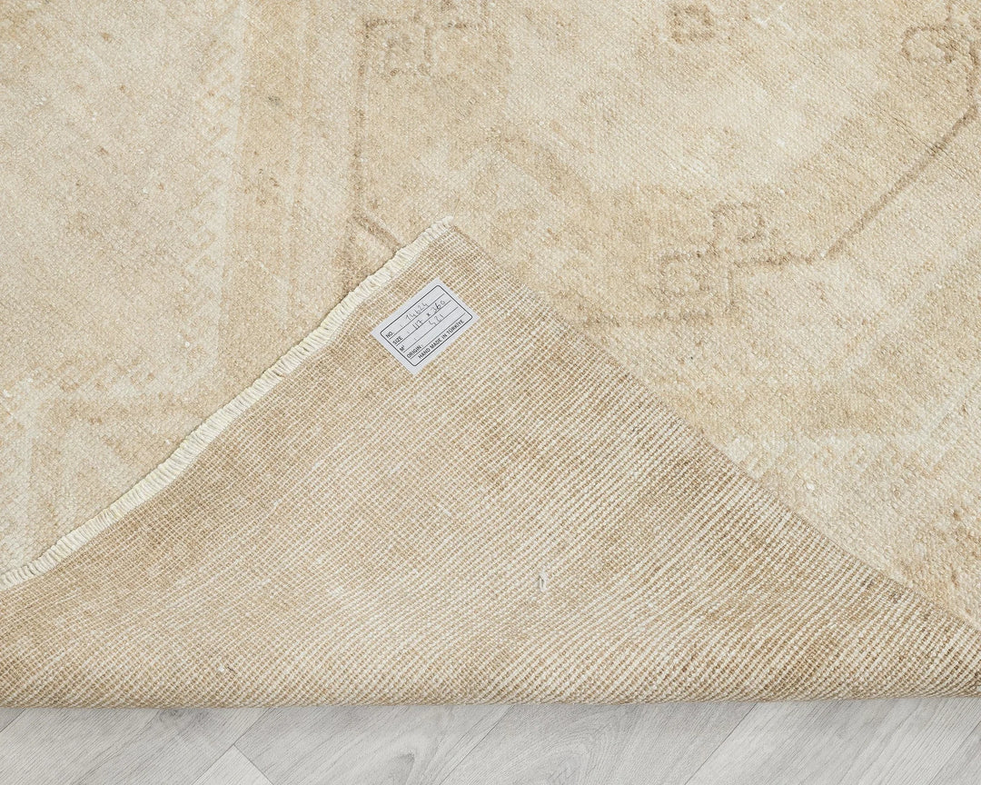 Runner Rug 3' 10" x 11' 10" | No. VR93008