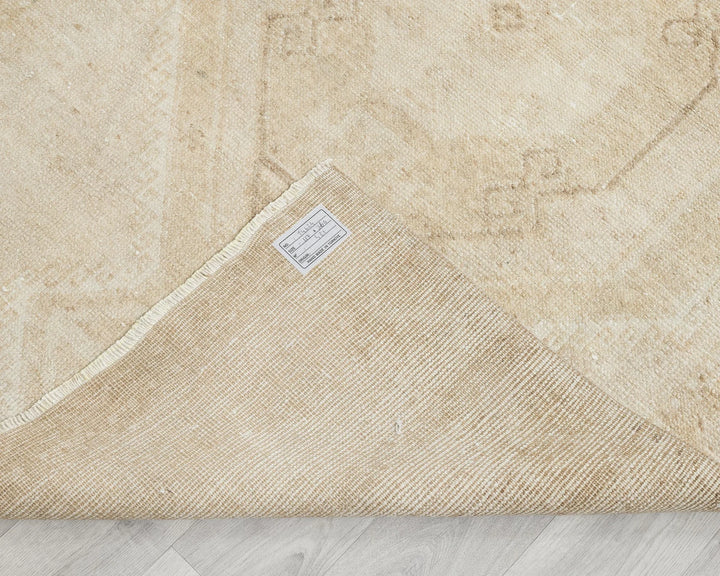 Runner Rug 3' 10" x 11' 10" | No. VR93008