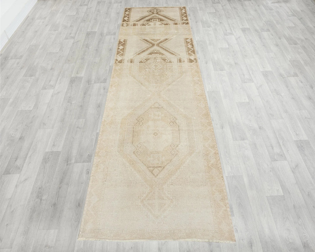 Runner Rug 3' 10" x 11' 10" | No. VR93008