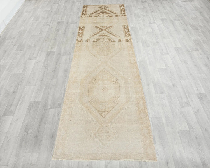 Runner Rug 3' 10" x 11' 10" | No. VR93008