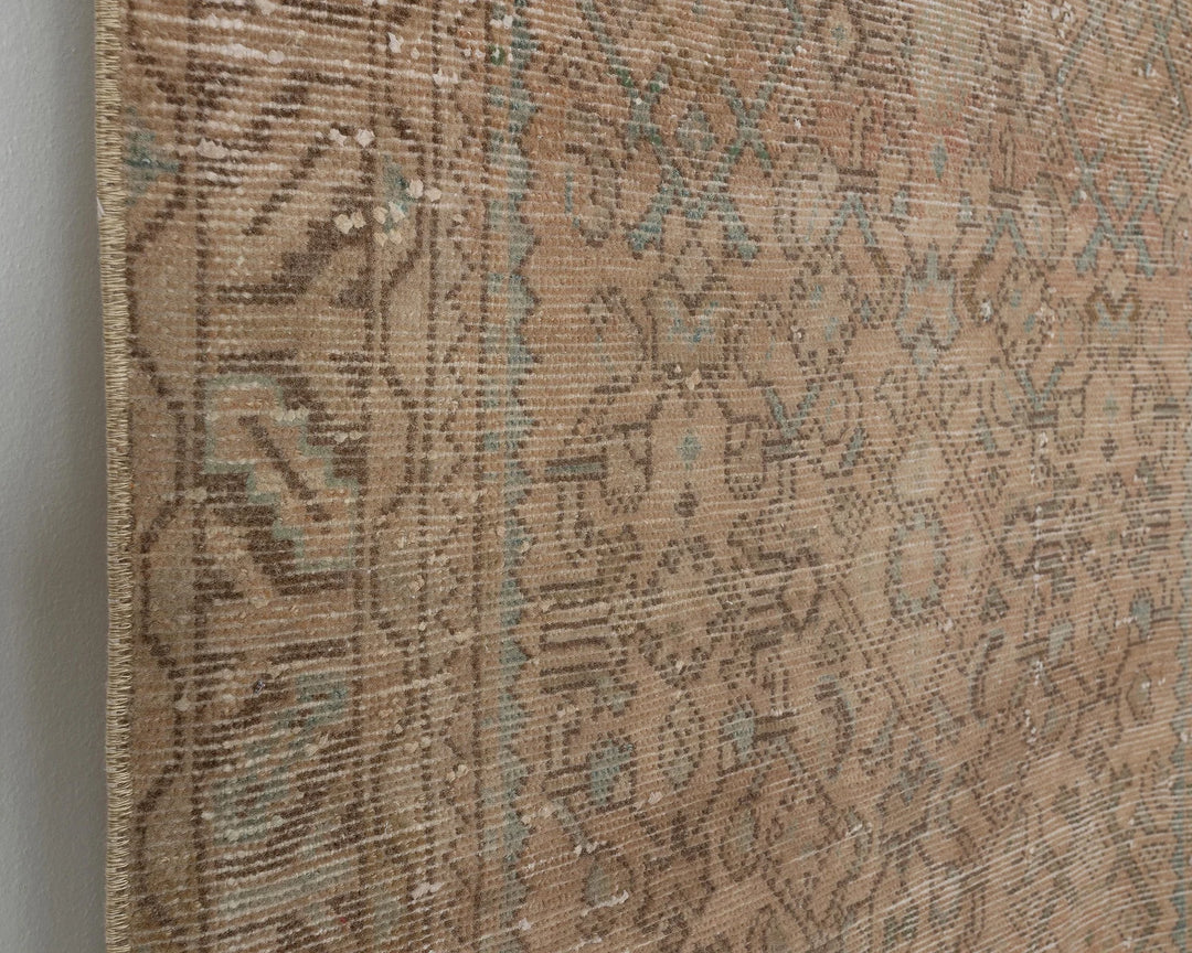Faded Runner Rug 3' 3" x 10' 4" | No. VR94813