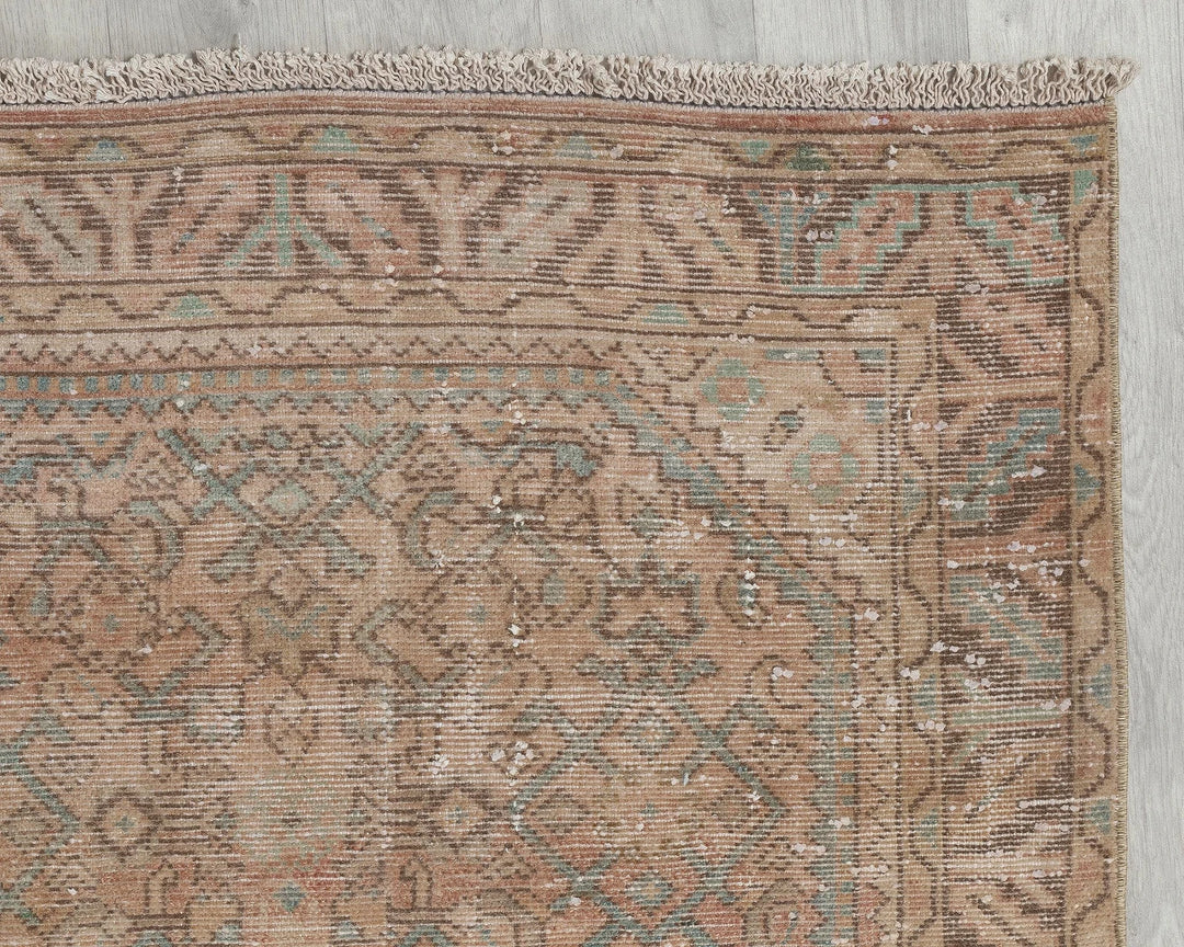 Faded Runner Rug 3' 3" x 10' 4" | No. VR94813