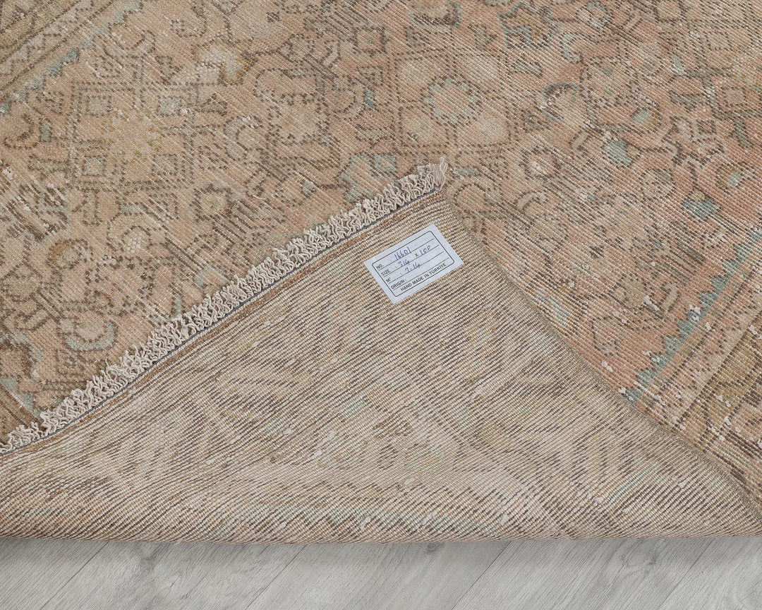 Faded Runner Rug 3' 3" x 10' 4" | No. VR94813