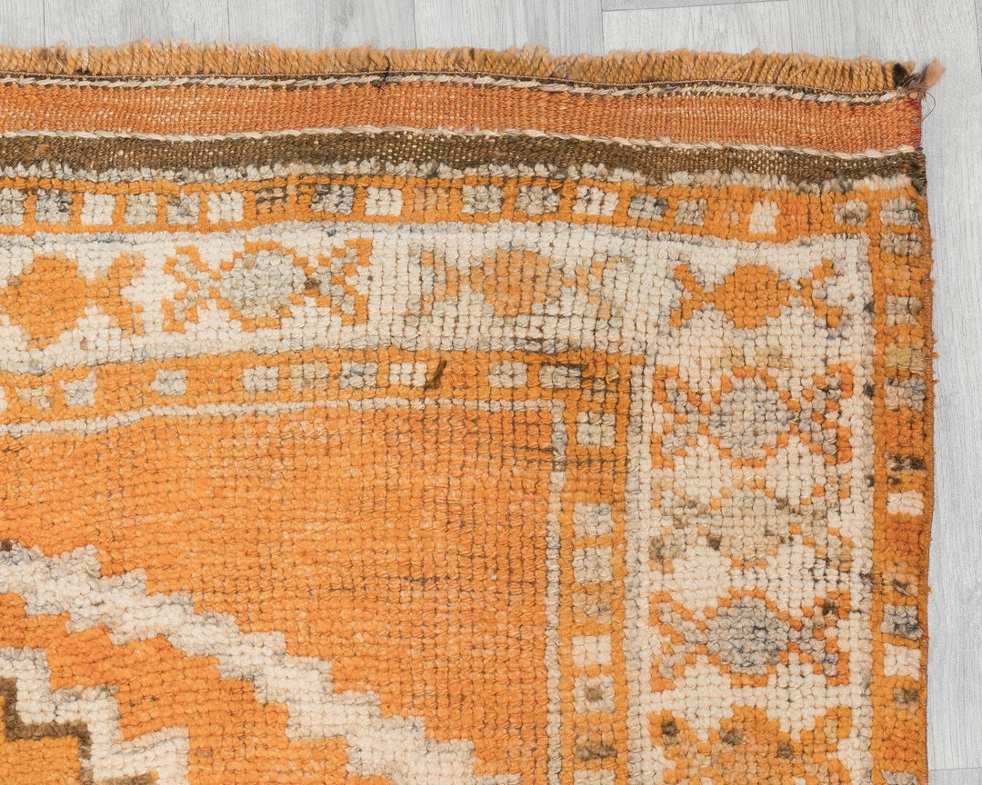 Runner Rug 4' 8" x 11' | No. VR94921
