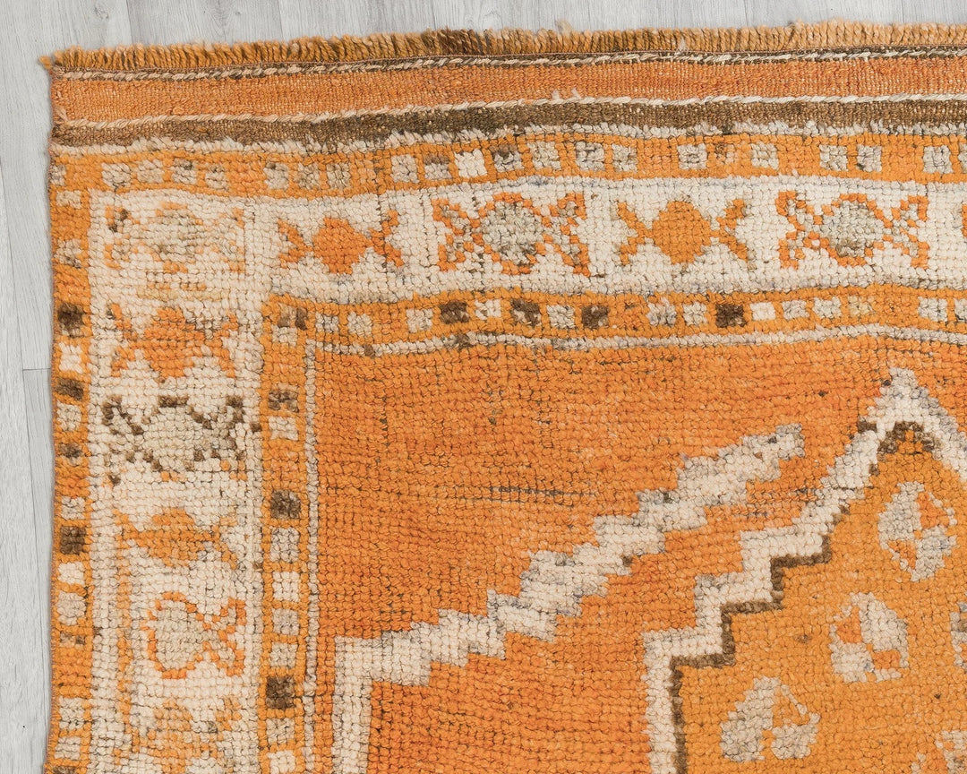 Runner Rug 4' 8" x 11' | No. VR94921