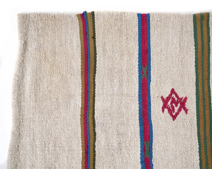 Kilim Rug 4' 9" x 10' 10" | No. VR96027