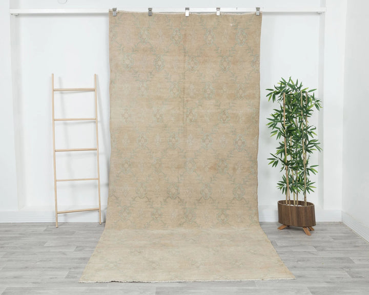 Beige Runner Rug 4' 11" x 10' 6" | No. VR98125