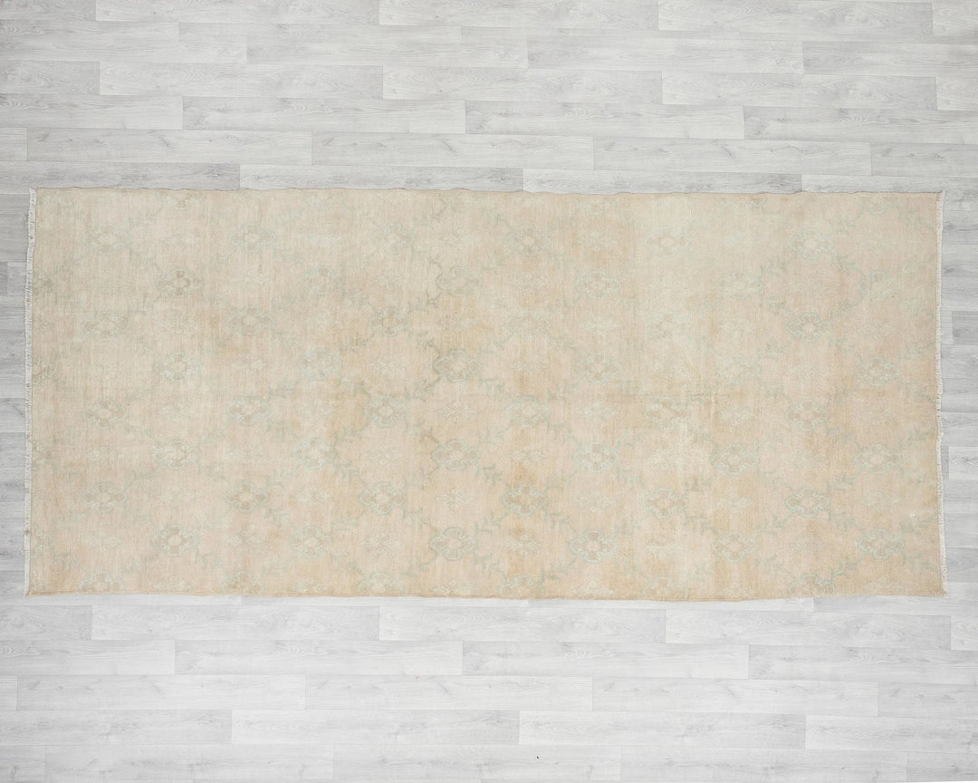 Beige Runner Rug 4' 11" x 10' 6" | No. VR98125