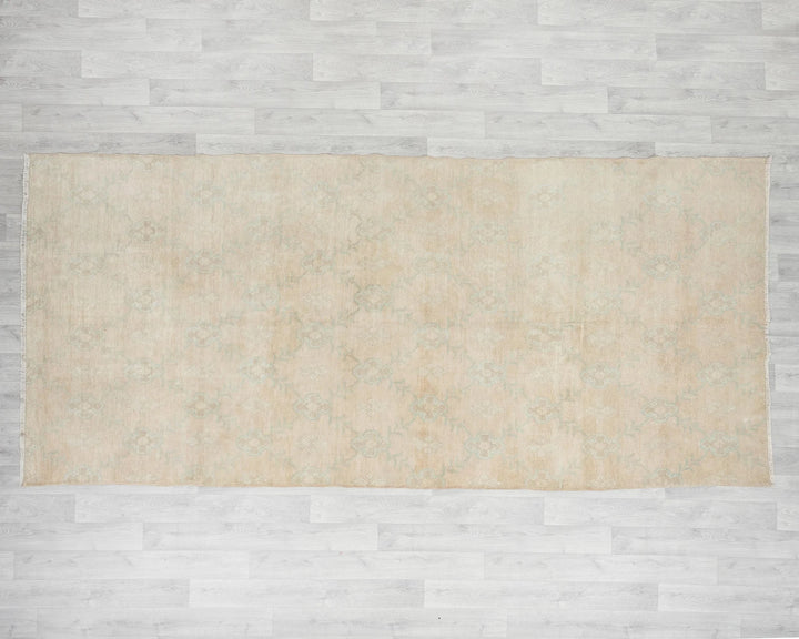 Beige Runner Rug 4' 11" x 10' 6" | No. VR98125