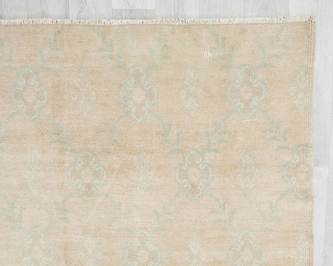 Beige Runner Rug 4' 11" x 10' 6" | No. VR98125