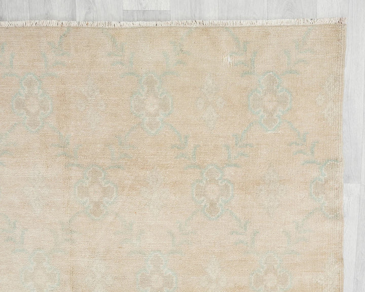 Beige Runner Rug 4' 11" x 10' 6" | No. VR98125