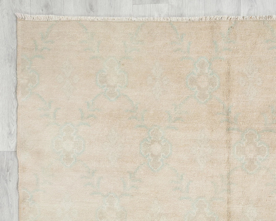 Beige Runner Rug 4' 11" x 10' 6" | No. VR98125