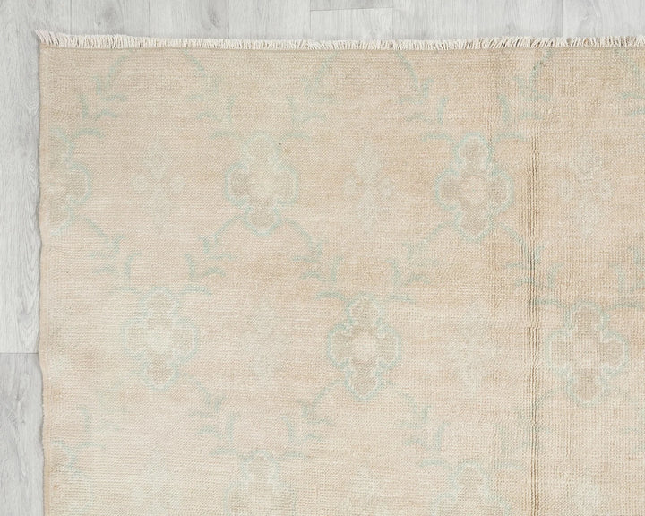 Beige Runner Rug 4' 11" x 10' 6" | No. VR98125