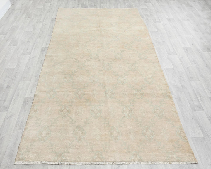 Beige Runner Rug 4' 11" x 10' 6" | No. VR98125