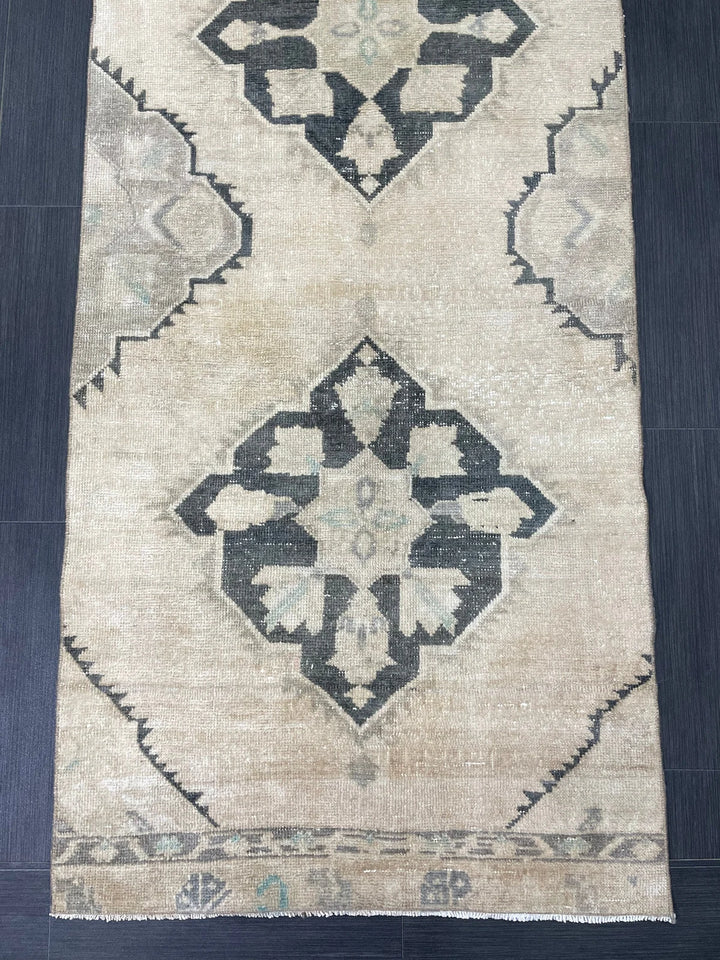 Turkish Runner Rug 2' 9" x 9' 6" Hand-Knotted | No. WR45691
