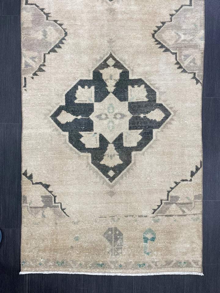 Turkish Runner Rug 2' 9" x 9' 6" Hand-Knotted | No. WR45691
