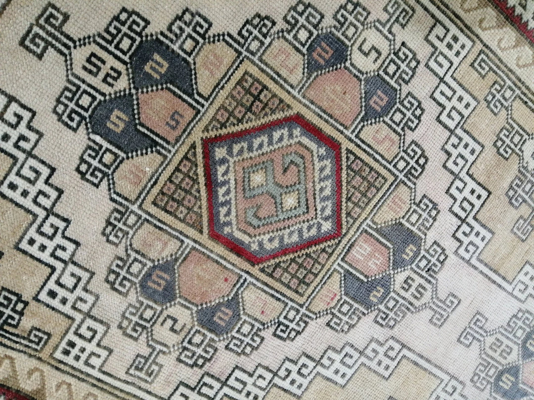 Tan Turkish Runner Rug 3' x 9' Hand-Knotted | No. WR46399
