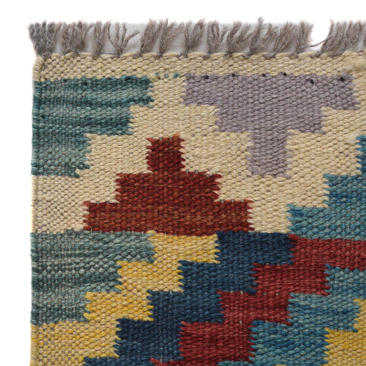 Afghan Vegetable Kilim Rug 1' 8" x 4' 11" Flat-Weave texture