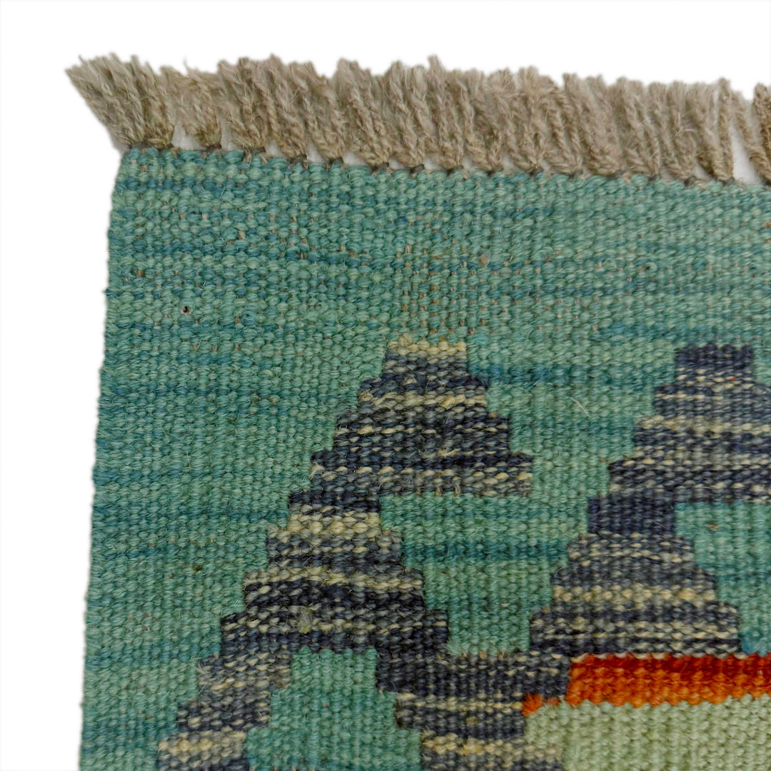 Afghan Vegetable Kelim Rug 2'7" x 4'1" Flat-Weave pattern