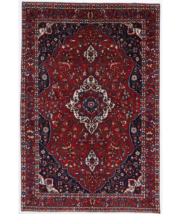 Hand Knotted Bakhtiari Wool Rug 6'  10" x 10'  3" - No. AT81058