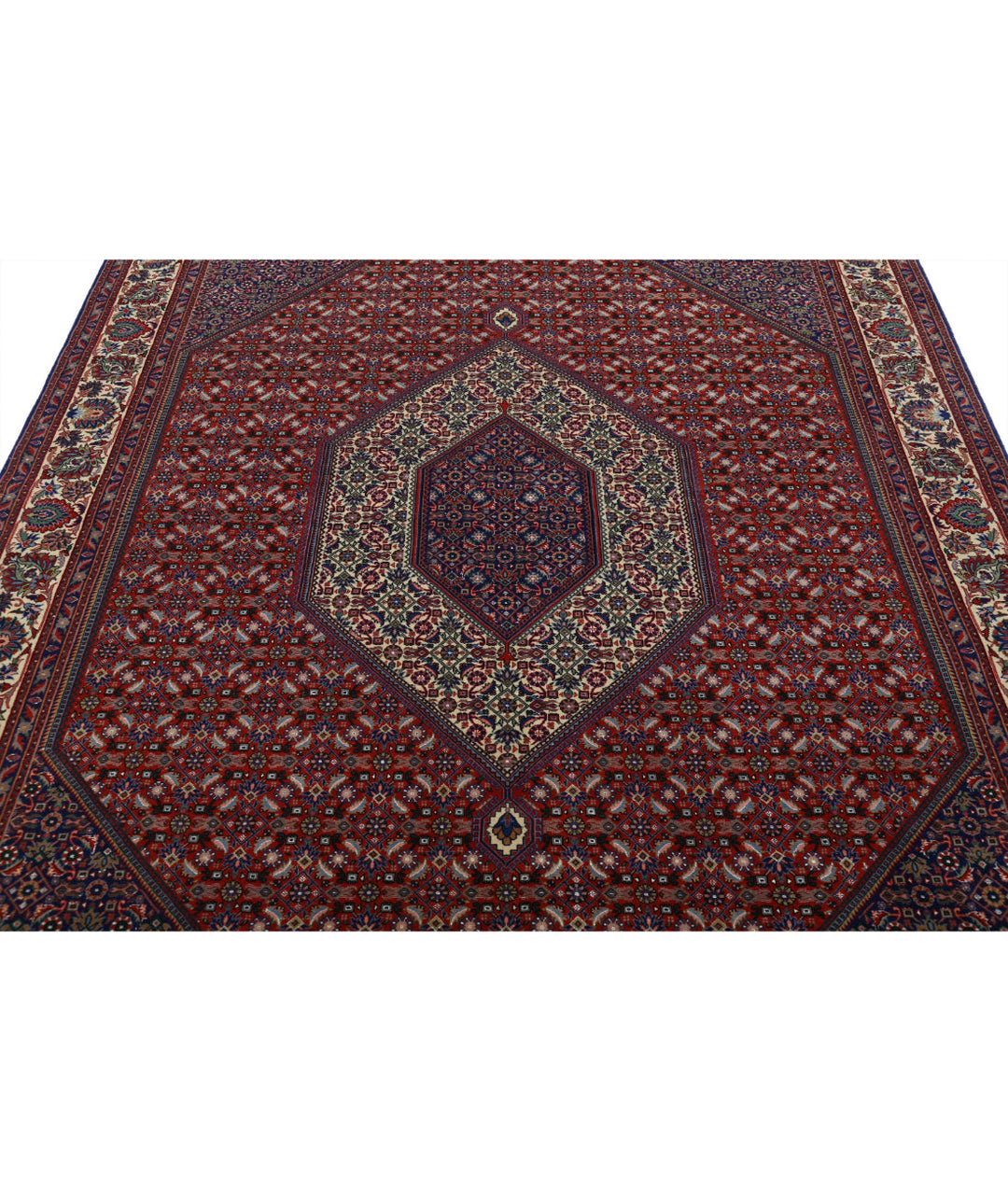 Afghan Bijar Rug 6' 8" x 9' 11" Hand-Knotted | No. AT56869