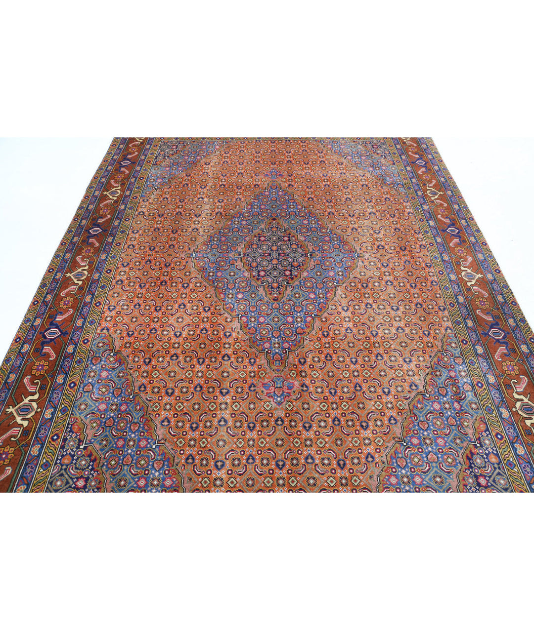 Afghan Bijar Rug 6' 8" x 9' 9" Hand-Knotted | No. AT44999