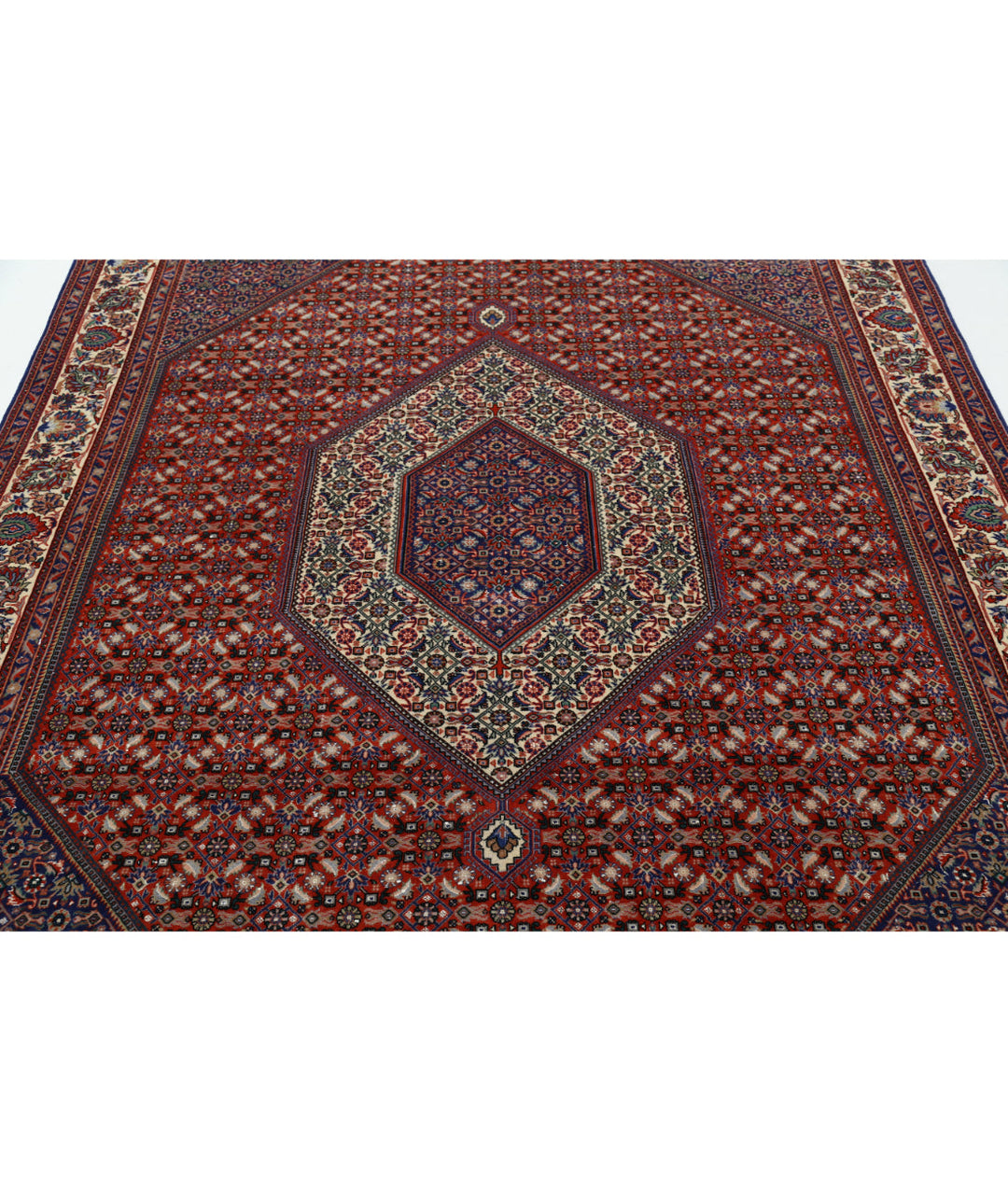 Afghan Bijar Rug 6' 7" x 9' 8" Hand-Knotted | No. AT32321
