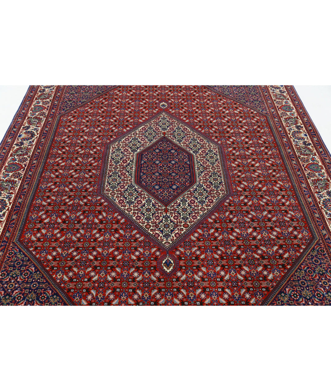 Afghan Bijar Rug 6' 7" x 10' 0" Hand-Knotted | No. AT78945