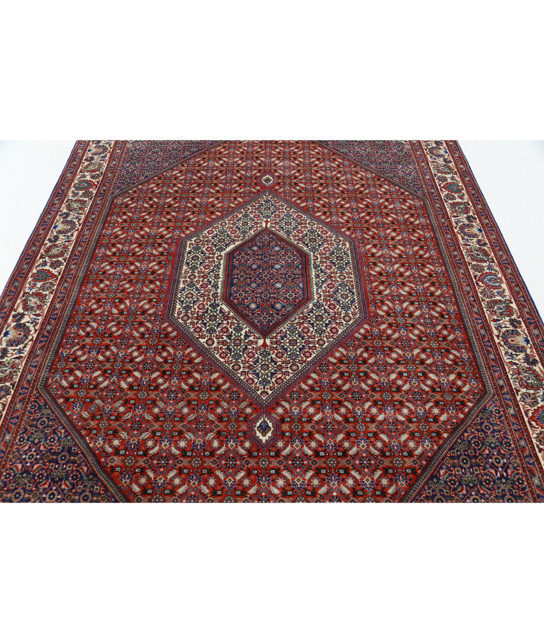 Afghan Bijar Rug 6' 7" x 9' 9" Hand-Knotted | No. AT69799