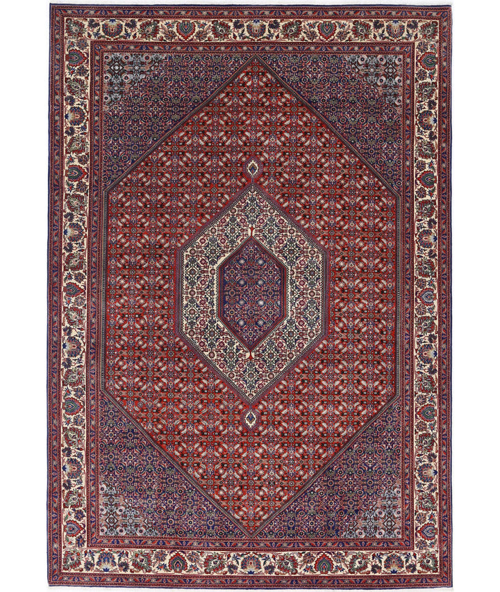 Afghan Bijar Rug 6' 7" x 9' 9" Hand-Knotted | No. AT69799
