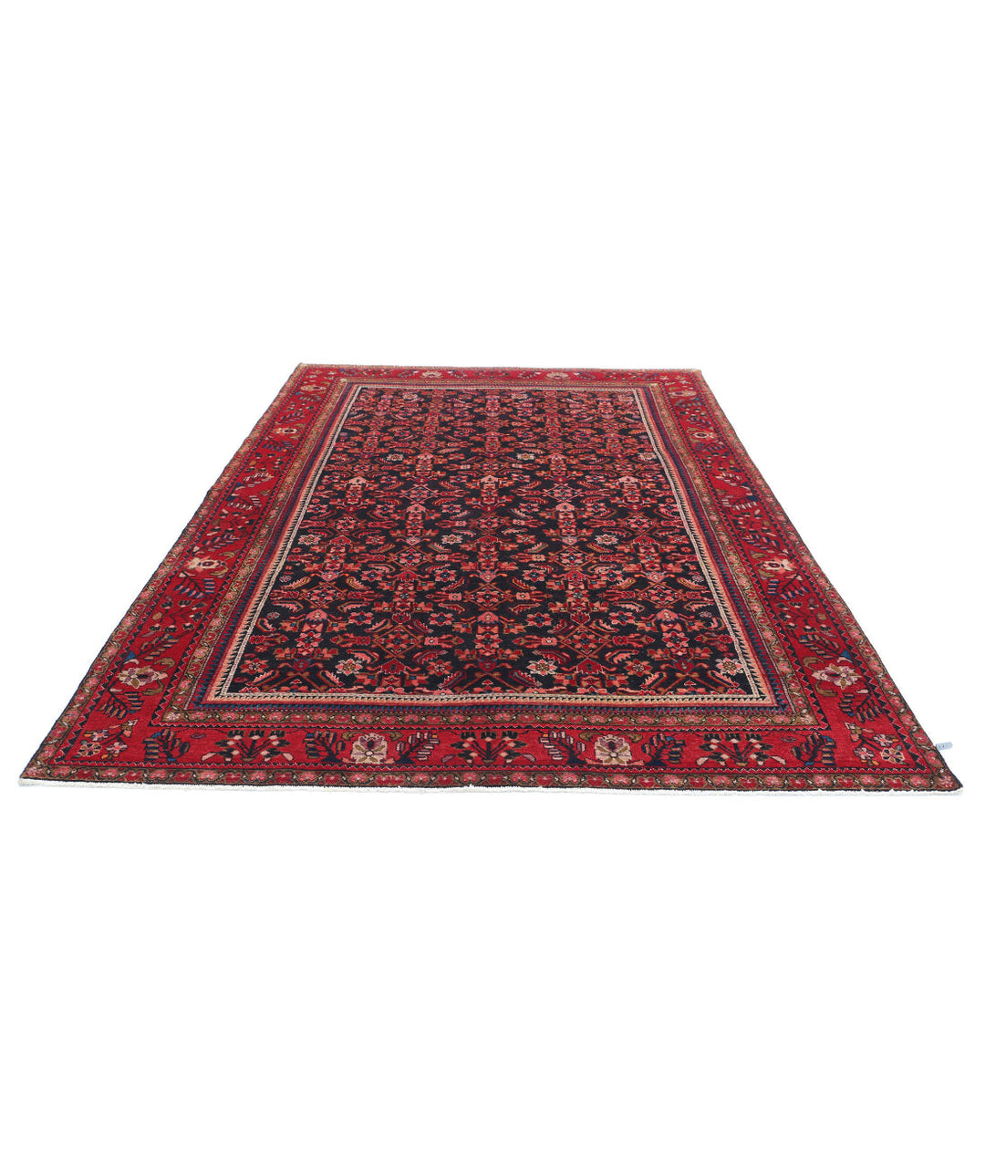 Afghan Hamadan Rug 6' 11" x 9' 11" Hand-Knotted | No. AT91693