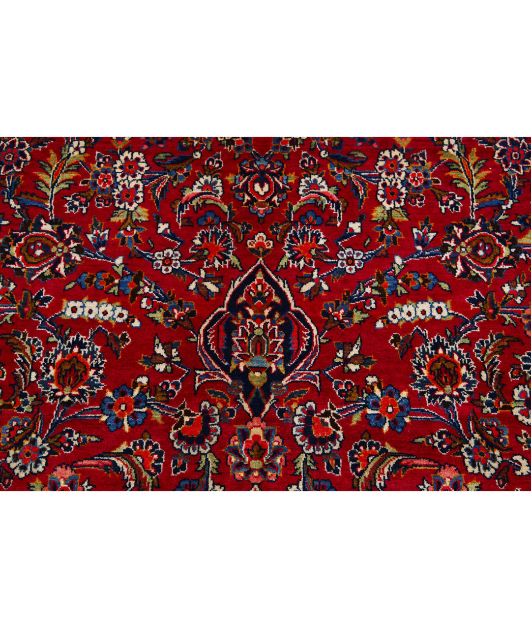 Afghan Kashan Rug 9' 0" x 12' 1" Hand-Knotted | No. AT66695