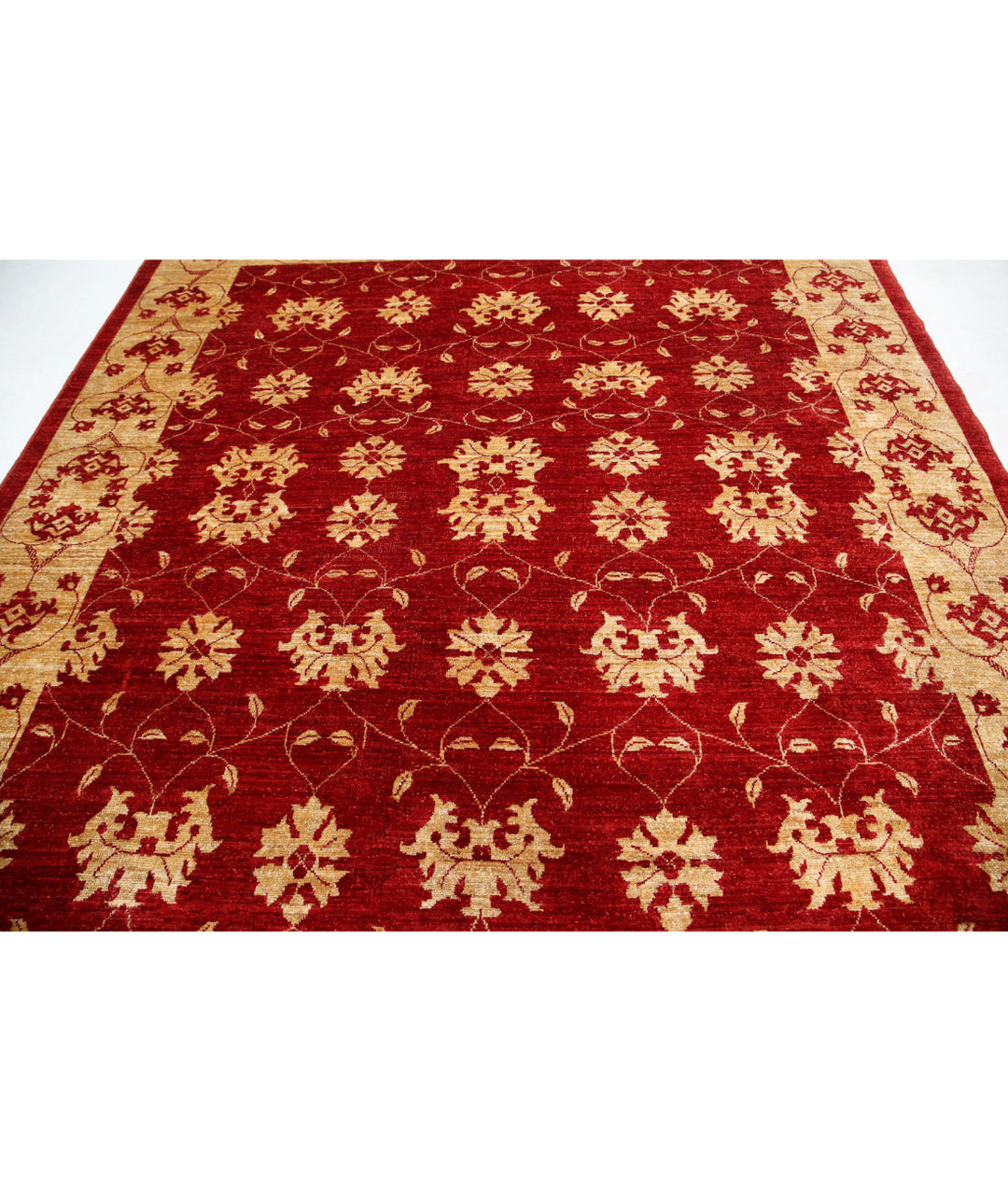 Hand Knotted Modcar Wool Rug 8' 3" x 9' 5" - No. AT80442