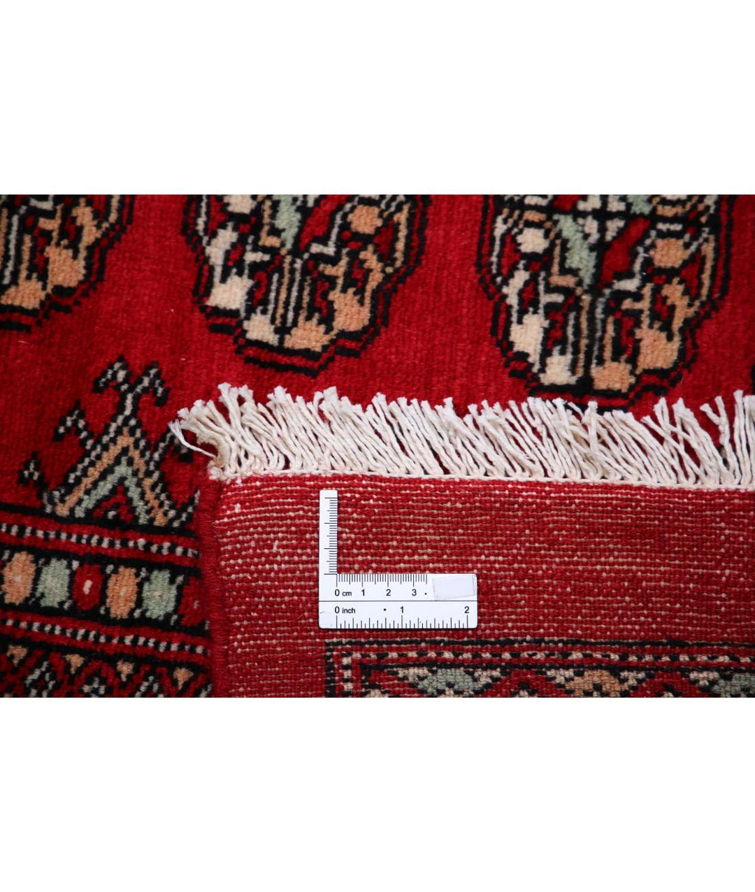 Afghan Tribal Bokhara Rug 12' 0" x 17' 5" Hand-Knotted | No. AT56272