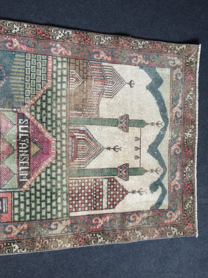 Turkish Oushak Rug 2'7" x 9'10" Hand-Knotted border