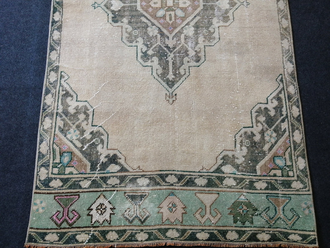 Beige Turkish Runner Rug 3' 6" x 11' Hand-Knotted border