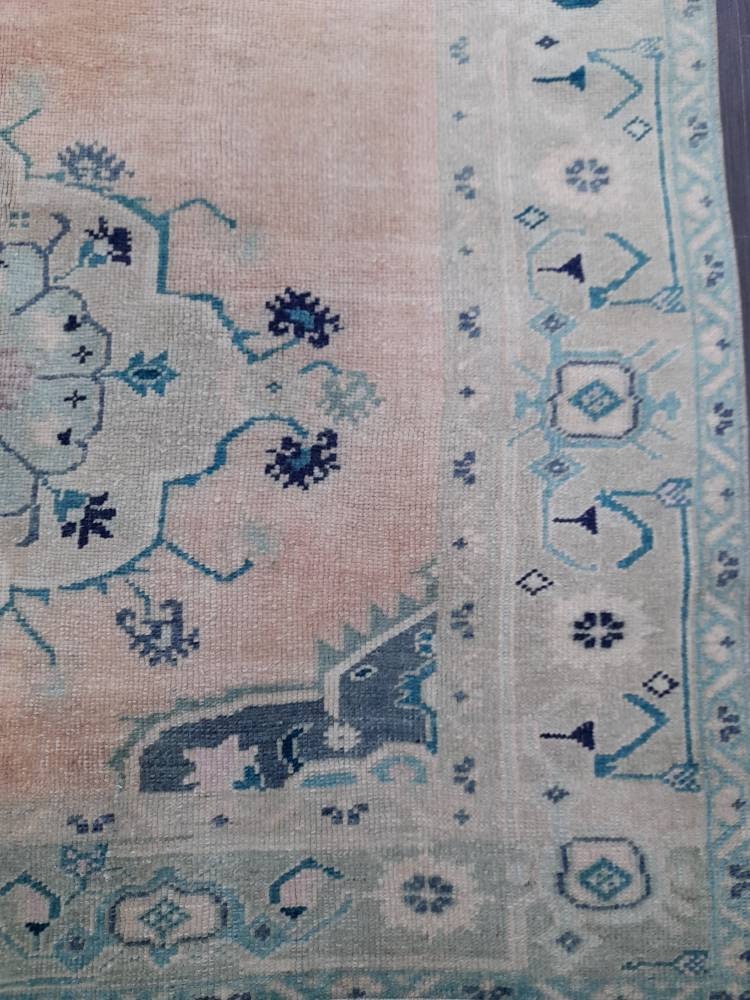 Beige Turkish Runner Rug 5' x 10' Hand-Knotted border