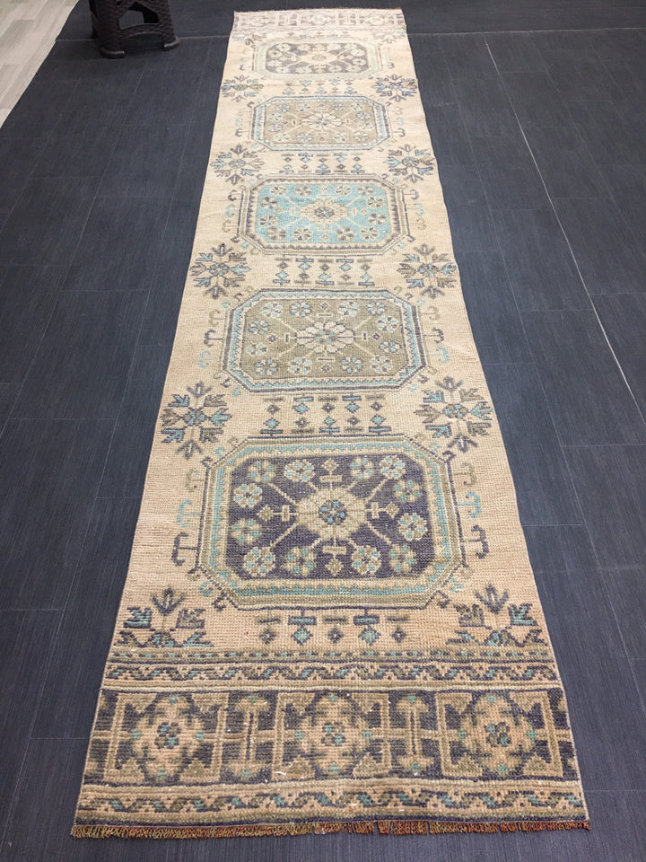 Blush Runner Rug 2' 10" x 11' 4" - No. WR84821